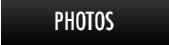Dolphin Photos